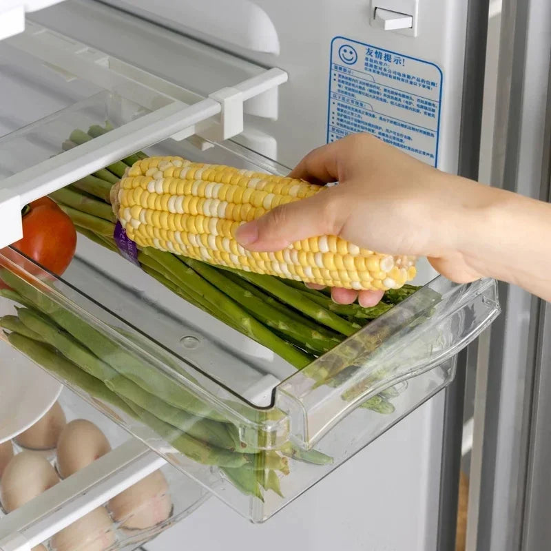 Organisateur de Frigo pour Fruits et Œufs